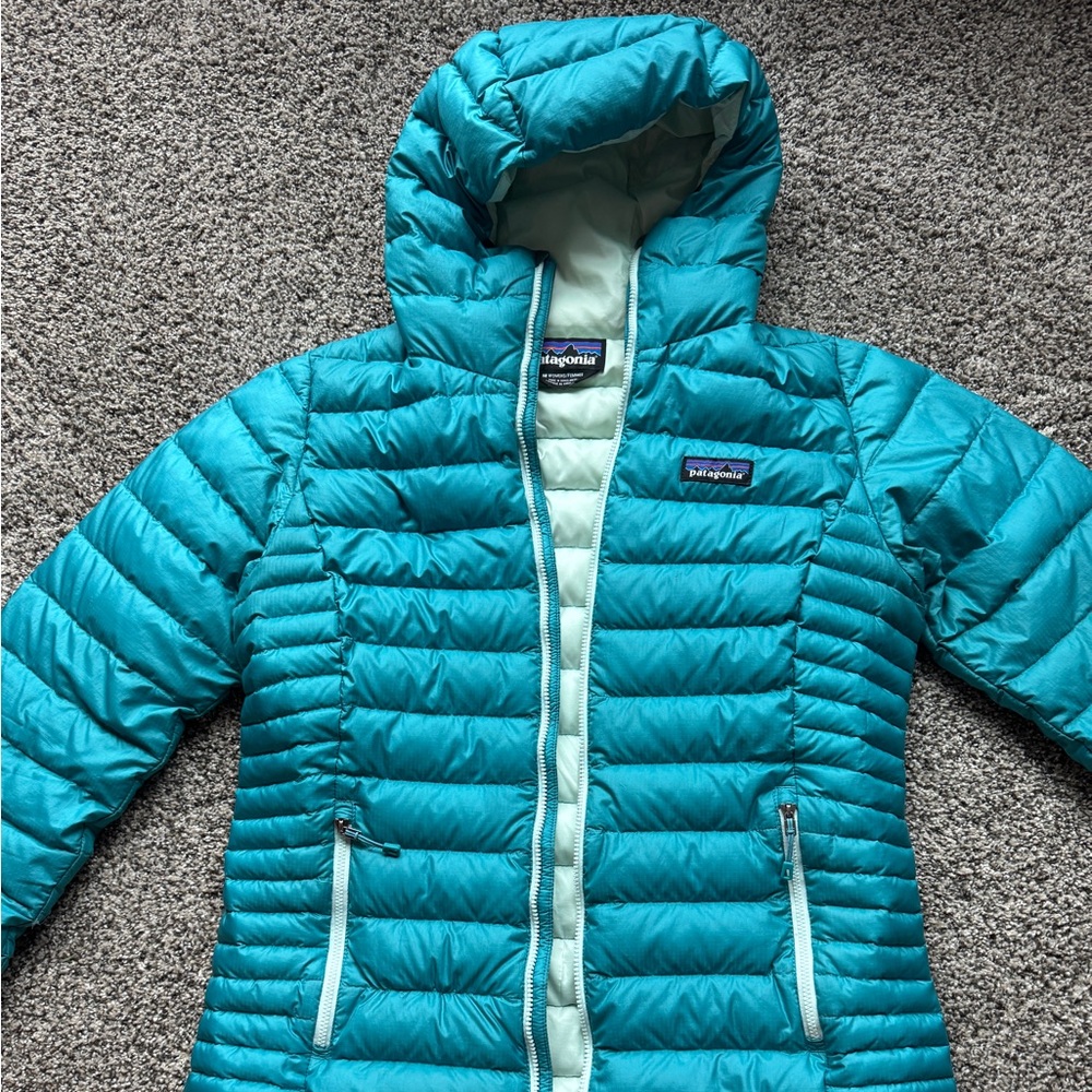 Patagonia Down Sweater Hoodie